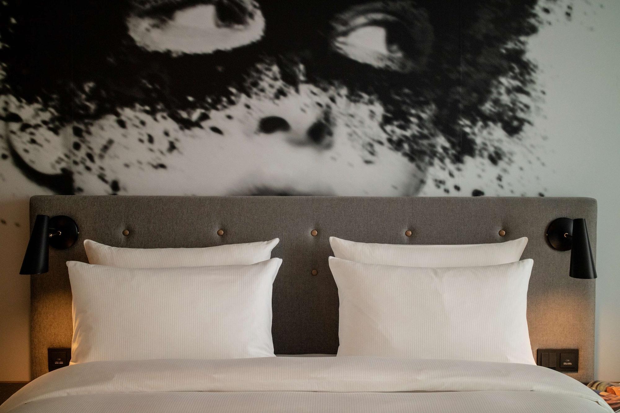 Suite Junior con vistas al jardín